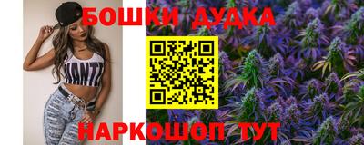 индика Нальчик