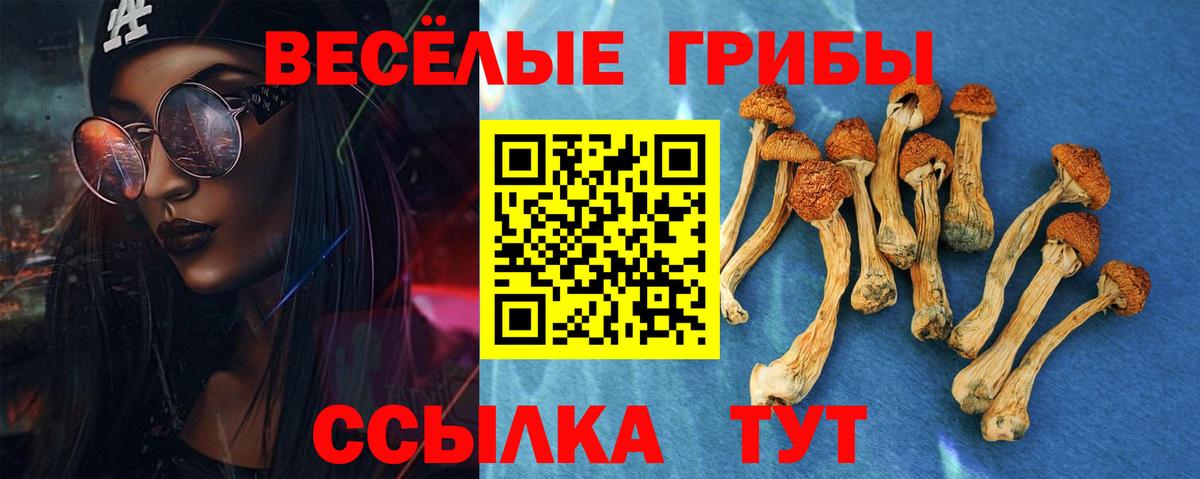 Псилоцибиновые грибы Psilocybine cubensis  Вход с VPN  Среднеуральск 