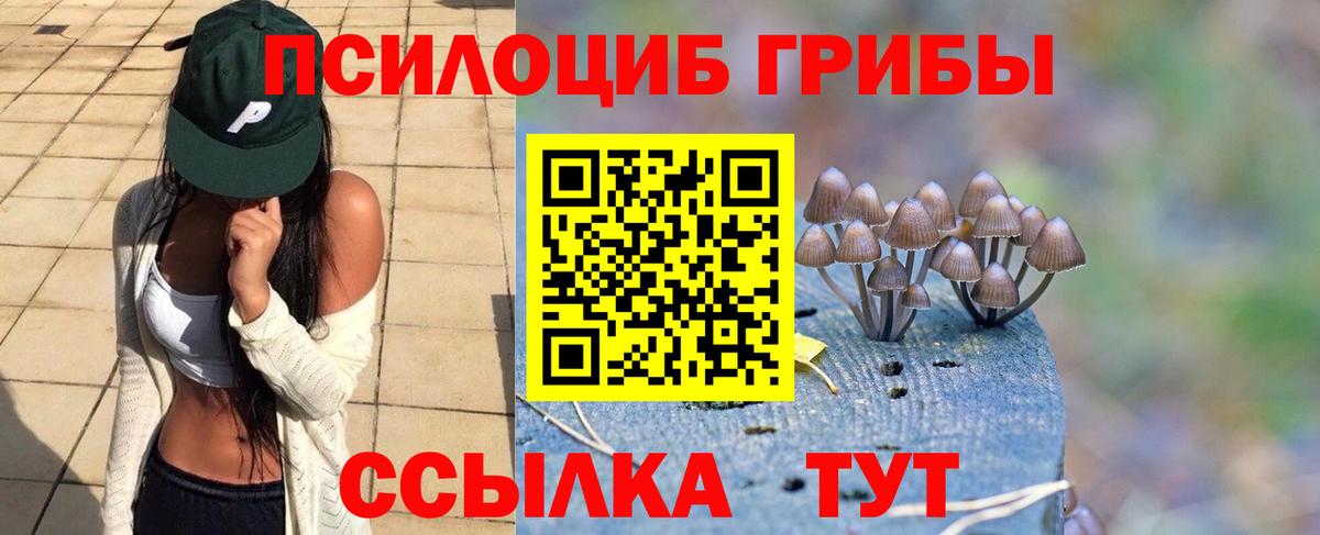 Псилоцибиновые грибы Magic Shrooms Среднеуральск